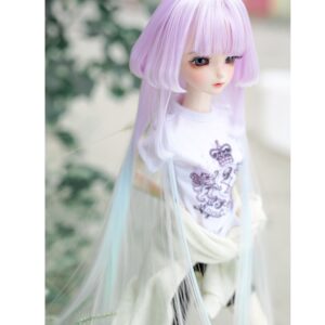 Mix Color BJD Wig for 1/4, 1/3 MSD dukker