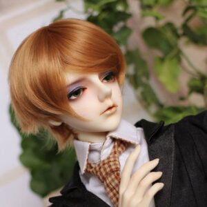 Short doll wig Bjd wig 1/3 1/4 1/6 1/8 boy doll hair