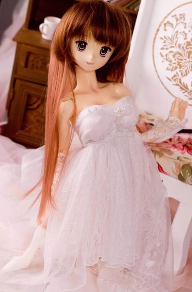 bjd beginners one stop learning guide 10