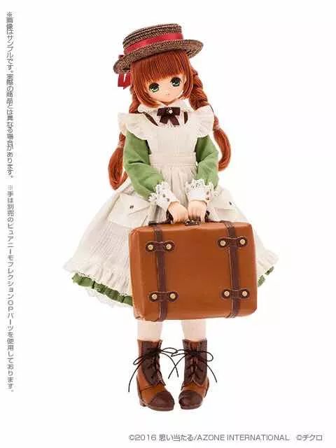 BJD Beginner's One-Stop Learning Guide 14 bjd beginners one stop learning guide 5