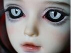 Custom Resin BJD Doll Eyes – Realistic Animal Eyes for Dolls (8mm-24mm)