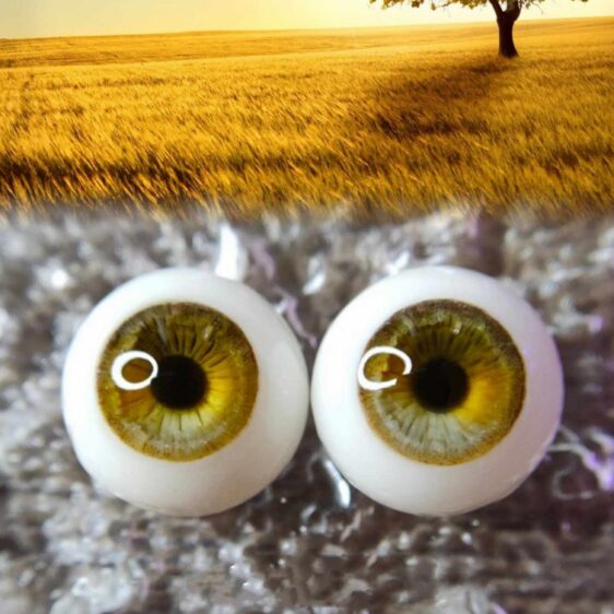 Handmade BJD Doll Eyes (8mm-24mm) Safety Craft Resin Eyes for 1/3, 1/4, 1/6 Dolls