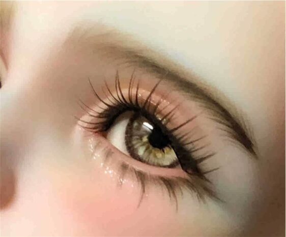 Realistic Rose Eyes for Dolls – Safety Eyes & おもちゃの目 (8mm～24mm)