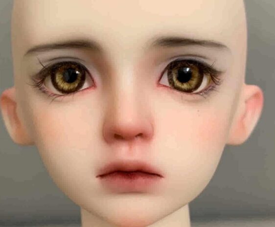 Realistic Rose Eyes for Dolls – Safety Eyes & おもちゃの目 (8mm～24mm)